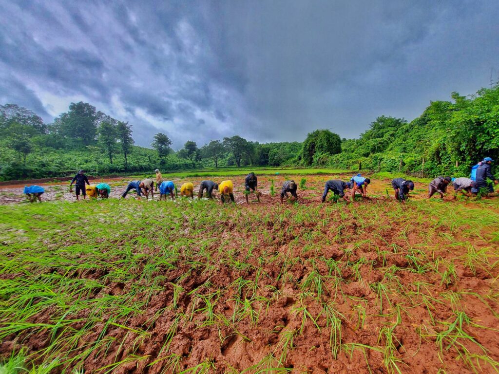 A 40-Year Legacy of Farming, Nature, and Rural Konkan Life