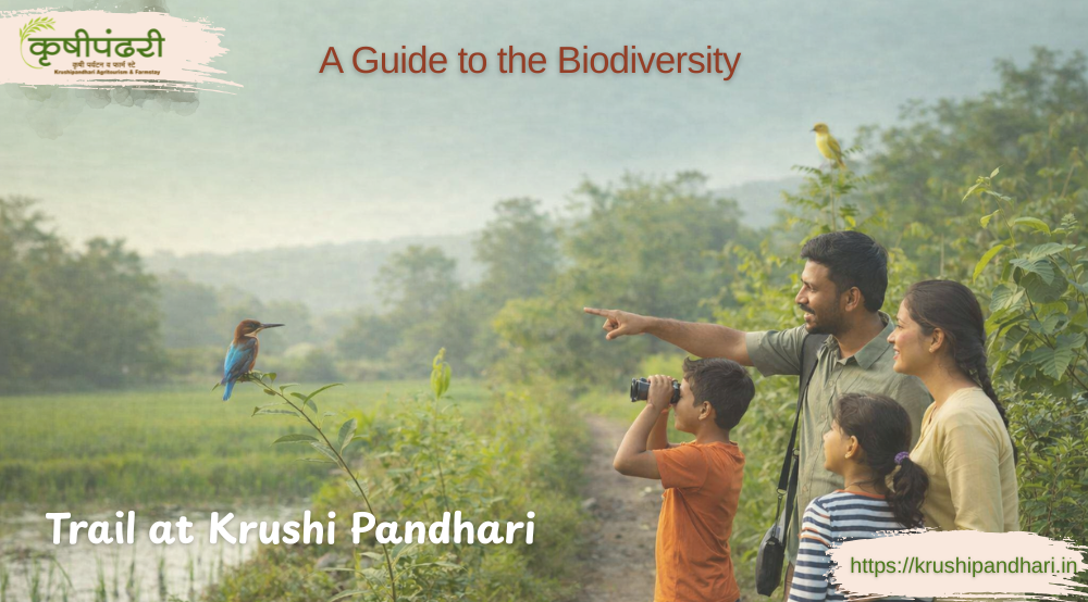 A Guide to the Biodiversity Trail India in Konkan at Krushi Pandhari