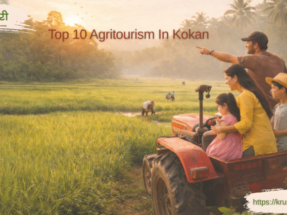 Top 10 Agritourism in Kokan for a Perfect Nature Escape