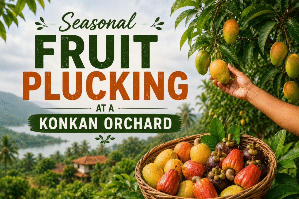 Seasonal Fruit Plucking at a Konkan Orchard